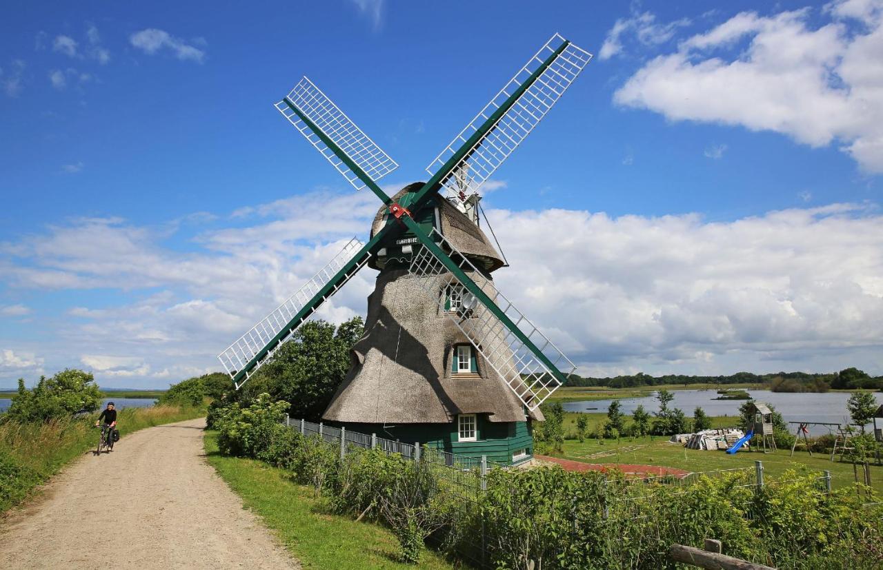 Puehler - Ferienwohnung Amsel Kronsgaard Buitenkant foto